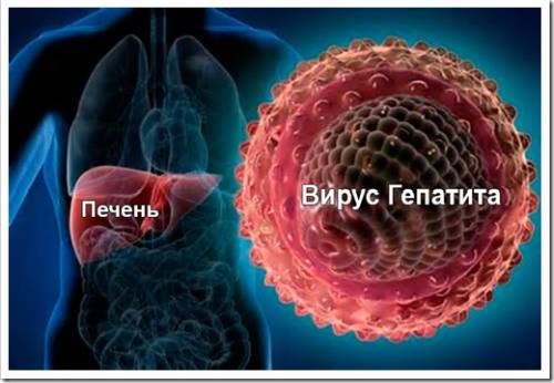 Проявления гепатита