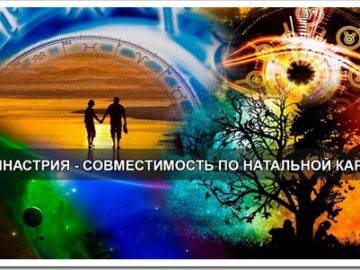 Определение совместимости пары