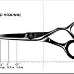 Как правильно выбрать парикмахерские ножницы