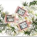 Описание коллекции ароматов Gucci Bloom