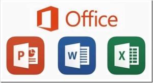 Сфера применения MS Word и MS Excel 