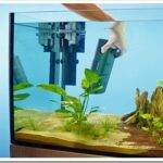 Какие фильтры необходимо устанавливать в аквариуме?