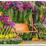 ТОП-10 лучших ароматных цветов для сада и балкона