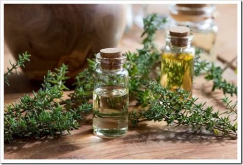 A bottle of thyme essential oil with fresh thyme twigs and other bottles in the background