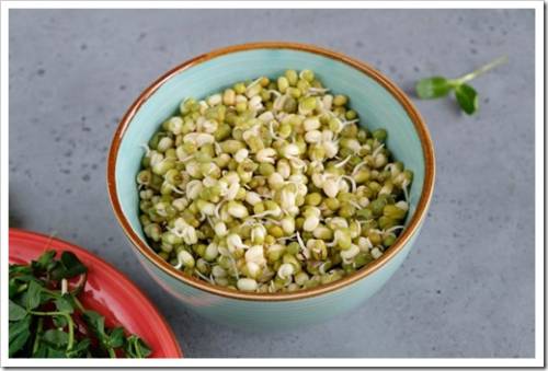 Sprouts or seedlings of mung beans in a bowl. Vegan diet and healthy eating.