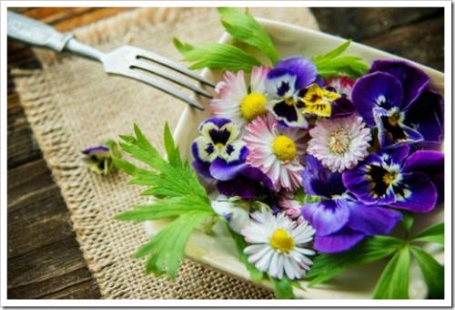 organic food,a plate full of edible flowers
