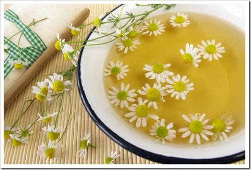 Bath essence with chamomile flowers