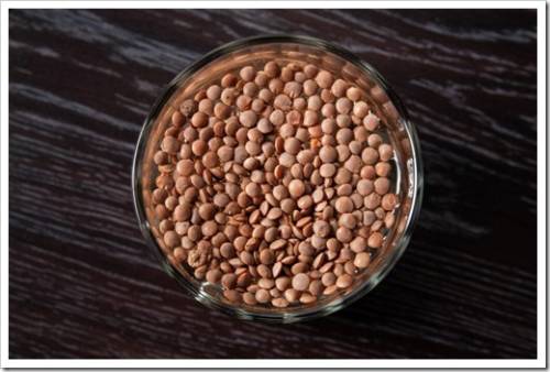 top view on the lentils are soaked in a glass of water. preparation for sprouting lentils