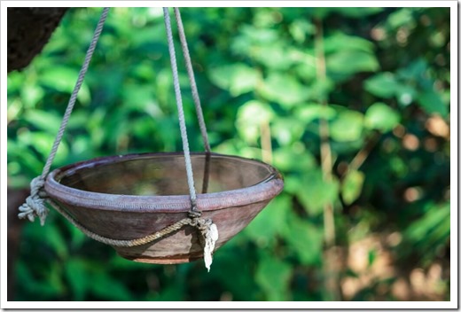 Bird bath hanging with ropes in a garden Jaipur