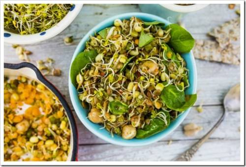 Salad with fried sprouts and fresh broccoli sprouts. Healthy diet and vegetarian food. 