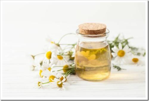 Recipes of traditional medicine with a decoction of chamomile at home. Immunity enhancement in alternative medicine. Recipes of the cosmetics with chamomile. An empty space to insert text.
