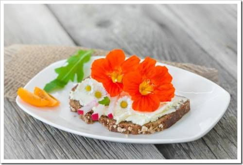 Delicious homemade sandwich with flowers of nasturtium and daisies prepared with fresh vegetables and cream cheese