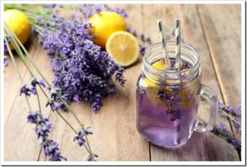 Fresh delicious lemonade with lavender in masson jar on wooden table