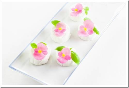 Snack made of soft goat cheese with pink flowers begonias and basil leaves on a serving plate on a white background, horizontal