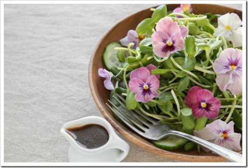 Sunflower sprouts, cucumber and edible flowers salad on wooden bowl, keto, ketogenic, low carb diet, sugar free, dairy free and  gluten free, healthy plant based vegan food