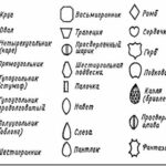 Символика огранки: что означает форма камня