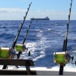 Троллинг в Дананге: как выбрать скорость по волне и не путать котел с пустой суетой — практичные признаки по воде и снастям