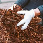 6 простых способов сэкономить на ландшафтном дизайне участка — и получить превосходный результат при ограниченном бюджете
